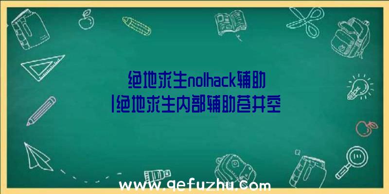 「绝地求生nolhack辅助」|绝地求生内部辅助苍井空